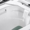 ZHCHAO Body Cleaner Nozzle Self-Cleaning Smart Toilet Seat Cover Single Cold Toilet Cover view 4