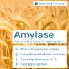 Amylase (for Starch Processing, Brewing, Baking & biofuels) view 2