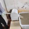 180W Electric Egg Washing Machine, Chicken Duck Goose Egg Washer Equipment, 2300 Pieces/Hour, for Breeders and Farms view 3