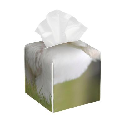 Bichon Frise Dog Printed Tissue Box Cover | Square Leather Tissue Paper Holder for Home Hotel Car Office Decor