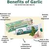 24x90g Gia Garlic Puree Paste view 2