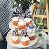 Cyodoos Pack of 24 Wolf Cupcake Topper Wolf Cake Decorations Wolf Party Decorations Birthday Wedding Party Decoration view 3