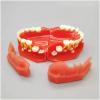Deciduous Teeth Model - Child Teeth Teaching Model - Children's Deciduous and Permanent Teeth Alternate Model - Teeth Demonstration Model - for Study Teaching,3 to 12 Years Old (Color : 3 to 6 Years view 2