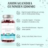 Ashwagandha Gummies High Strength 1200mg per serv with 5% Withanolides 60mg - Raspberry Flavoured Ashwagandha Root Extract Supplement for Men & Women - Mind, Sleep, Calm, Focus & Joint Support (60) view 2