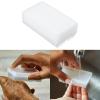 Aurgiarme Nail Art Dust Brush Scrubbings Brush Hand Nail Brush Manicures Tool Fingernail Brushes For Women Office Tool view 2