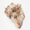 Saki Ika Dried Small Squid Dried Calamari Youyu 250 Grams Free Worldwide Airmail view 2