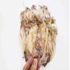 Saki Ika Dried Small Squid Dried Calamari Youyu 250 Grams Free Worldwide Airmail view 4