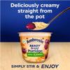 Ambrosia Apple & Blueberry Layered Porridge Pots With British Wholegrain Oats, Ready-to-Eat, 210 g (Pack of 6) view 4