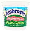 Ambrosia Devon Custard Pots Strawberry Flavour, Creamy Ready-to-Eat Dessert, 150 g (Pack of 12) view 2