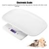 10kg/1g Kitchen Electronic Scale, Small Mini Pet Scale Digital Small Pet Weight Measure Pets Accurately for Cats Dogs Measure Tool view 3