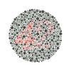 KEhtu Ishihara Test Card Book, Color Vision Test Book Includes 38 Pseudo-equicolor Discs, Used To Judge The Degree Of Color Vision Defects Of Patients, Optical Optometry Accessories view 4