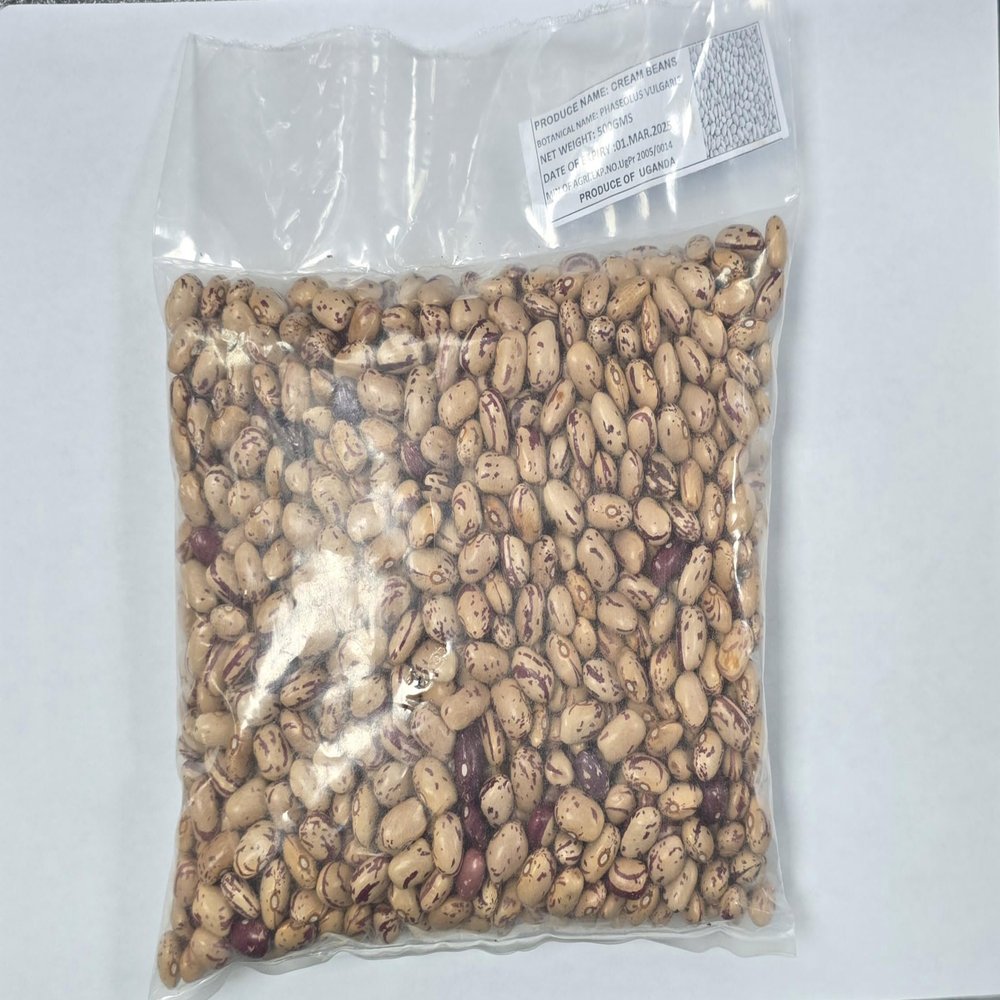 Uganda Cream Beans I Phaseolus Vulgaris I Product of Uganda I 500g
