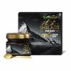 Vitaminnica Pure Shilajit Resin 20g - Premium Himalayan Shilajit for Energy, Vitality & Immune Support - Natural Resin | Gold Grade 100% Pure, Rich in Fulvic Acid and 85+ Trace Minerals view 1