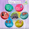 Ayushya Jamun Karela (Eugenia Jambolana & Bitter Melon Extract) Capsule, 500mg High Strength 60 Veg Capsules | Supports General Wellbeing view 4