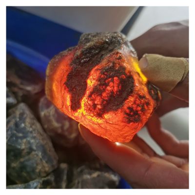 AUOQKQUT 50-500g Natural Amber raw Stone Crystal Rough Rock specimens Home Decor home decoration(Size:About 300g)