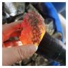 AUOQKQUT 50-500g Natural Amber raw Stone Crystal Rough Rock specimens Home Decor home decoration(Size:About 300g) view 3