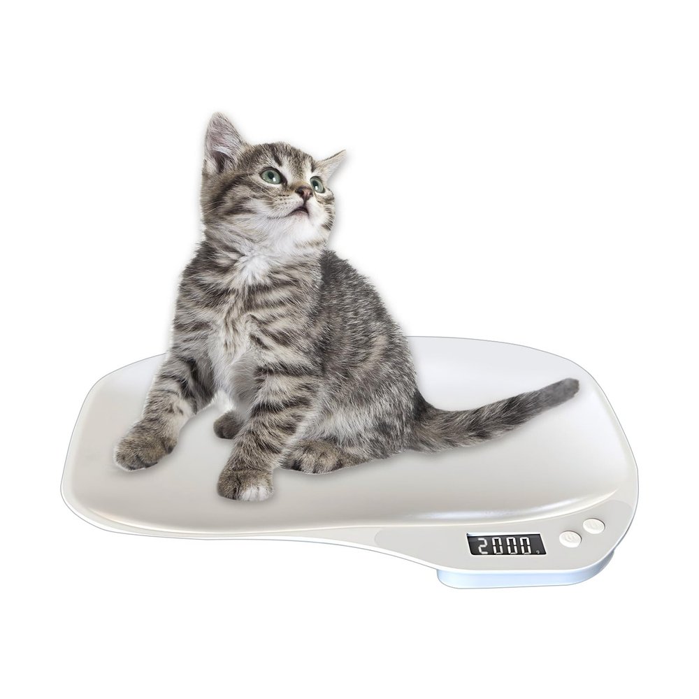 Kingbar Digital Pet Scale 15KG, With 4 Weighing Modes, Comfortable Tray, LCD Display, For Weighing Puppy/Kitten/Hamster/Newborn/Tortoise/Food