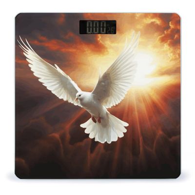 Weight Scale,Dove Sun Art Digital Scale,Body Weight Scale,Electronic Weigh Scales,high Precision Body Weight Scale