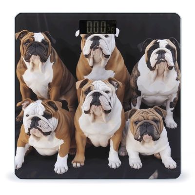 YHEGBFD Weight Scale,English Bulldogs Digital Scale,Body Weight Scale,Electronic Weigh Scales,high Precision Body Weight Scale