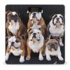 YHEGBFD Weight Scale,English Bulldogs Digital Scale,Body Weight Scale,Electronic Weigh Scales,high Precision Body Weight Scale view 1