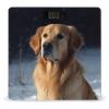 Weight Scale,Golden Retriever Digital Scale,Body Weight Scale,Electronic Weigh Scales,high Precision Body Weight Scale view 1