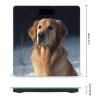 Weight Scale,Golden Retriever Digital Scale,Body Weight Scale,Electronic Weigh Scales,high Precision Body Weight Scale view 2