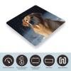 Weight Scale,Golden Retriever Digital Scale,Body Weight Scale,Electronic Weigh Scales,high Precision Body Weight Scale view 3