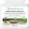 WellScience DigestiDetox Balance: Immune Support, Digestive Health, and Metabolism Booster - All-in-One with Caprylic Acid, Probiotics, and Natural Herbs view 1