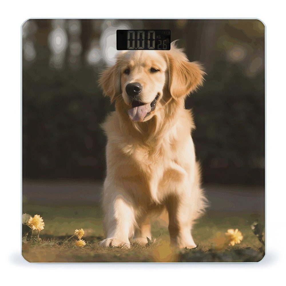 YHEGBFD Weight Scale,Golden Retriever Dog Digital Scale,Body Weight Scale,Electronic Weigh Scales,high Precision Body Weight Scale