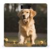 YHEGBFD Weight Scale,Golden Retriever Dog Digital Scale,Body Weight Scale,Electronic Weigh Scales,high Precision Body Weight Scale view 1