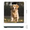 YHEGBFD Weight Scale,Golden Retriever Dog Digital Scale,Body Weight Scale,Electronic Weigh Scales,high Precision Body Weight Scale view 2