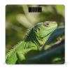 YHEGBFD Weight Scale,Green Lizard Digital Scale,Body Weight Scale,Electronic Weigh Scales,high Precision Body Weight Scale view 1