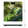 YHEGBFD Weight Scale,Green Lizard Digital Scale,Body Weight Scale,Electronic Weigh Scales,high Precision Body Weight Scale view 2