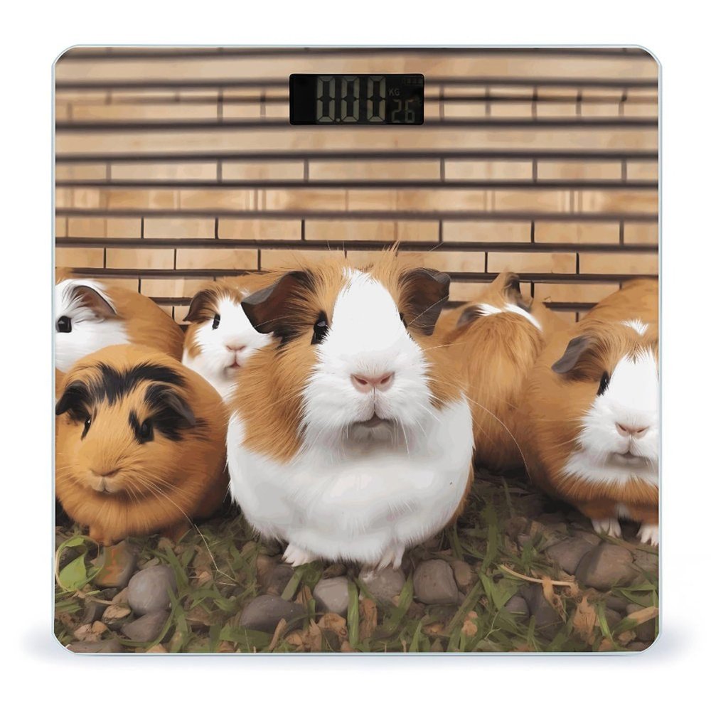 YHEGBFD Weight Scale,Guinea Pigs Digital Scale,Body Weight Scale,Electronic Weigh Scales,high Precision Body Weight Scale