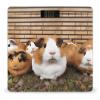 YHEGBFD Weight Scale,Guinea Pigs Digital Scale,Body Weight Scale,Electronic Weigh Scales,high Precision Body Weight Scale view 1