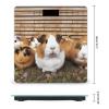 YHEGBFD Weight Scale,Guinea Pigs Digital Scale,Body Weight Scale,Electronic Weigh Scales,high Precision Body Weight Scale view 2