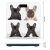YHEGBFD Weight Scale,French Bulldog Digital Scale,Body Weight Scale,Electronic Weigh Scales,high Precision Body Weight Scale view 2