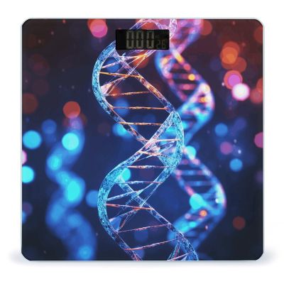 Weight Scale,DNA Genetic Helix Digital Scale,Body Weight Scale,Electronic Weigh Scales,high Precision Body Weight Scale
