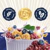 Jordans Country Crisp Blueberry Crumble Breakfast Cereal - Oat and Barley Clusters with Blueberry Crumble - No Artificial Flavours or Preservatives - British Baked Cereal - 450g (Pack of 6 x 450g) view 3