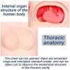 170CM Male Multi-Functional Human Anatomical Nursing Manikin PVC Patient Care Simulator for Medical Nursing Training Manikin view 4