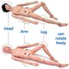 170 Cm Patient Care Person, Manikin Nursing Training CPR Simulator, Manikin Full Body Student Education Teaching Medical Training Skills,Male view 2