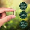 Lions Mane 2000mg with Black Pepper 180 Capsules - 6 Months Supply of High Strength Lions Mane from Beauty & Co Brand, 1 Capsule = 1 Serving, Vegan, Made in The UK. view 3