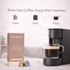 Go Mush Organic Reishi Mushroom Coffee Pods  Dark Roast Arabica  Nespresso Compatible Aluminium Capsules  10 Pods view 4