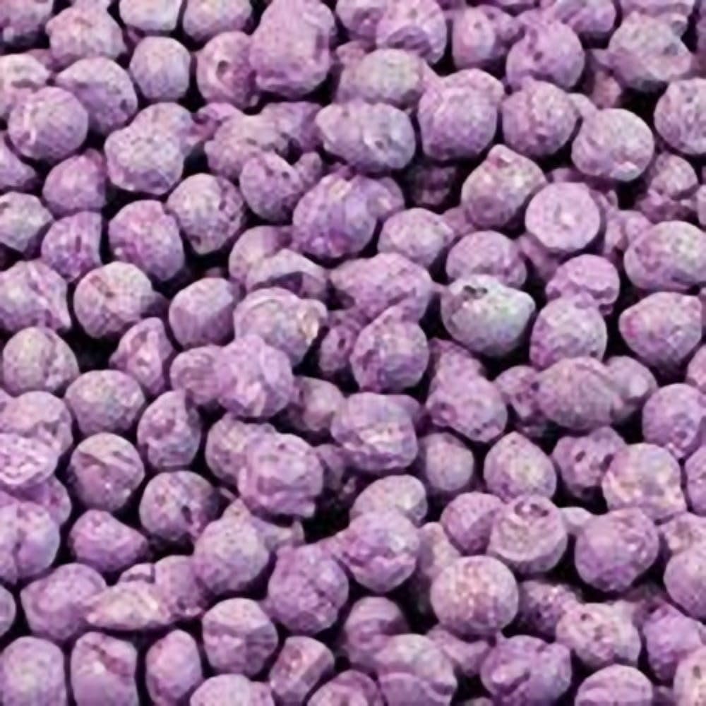 Blackcurrant Millions  800g Gift Jar  800g  Assorted Sweet Pick and Mix for Parties, Gifts, and Sharing by Candy Hive