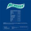 Airwaves Gum Menthol & Eucalyptus 9 Pieces per Pack, Multipack of 20 x 3 Packs (60 Total Packs) view 2