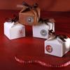 G Decor Eco-Friendly 24 Holiday Ribbon Gift Boxes Elegant DIY Advent Countdown Christmas Set view 3