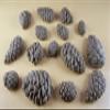 15 x Edible 3D Pine Cones Pinecones icing toppers, cake cupcakes decorations (Brown) T145 view 1