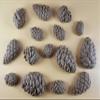 15 x Edible 3D Pine Cones Pinecones icing toppers, cake cupcakes decorations (Brown) T145 view 2