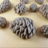 15 x Edible 3D Pine Cones Pinecones icing toppers, cake cupcakes decorations (Brown) T145 view 3