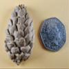 15 x Edible 3D Pine Cones Pinecones icing toppers, cake cupcakes decorations (Brown) T145 view 4